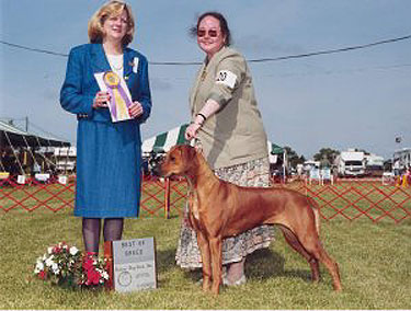 Elsa receiving Best Of Breed award